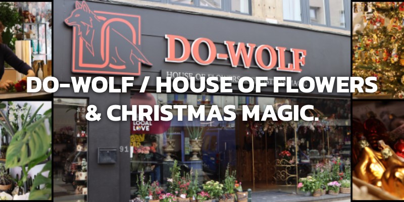 DO-WOLF / HOUSE OF FLOWERS & CHRISTMAS MAGIC. 1