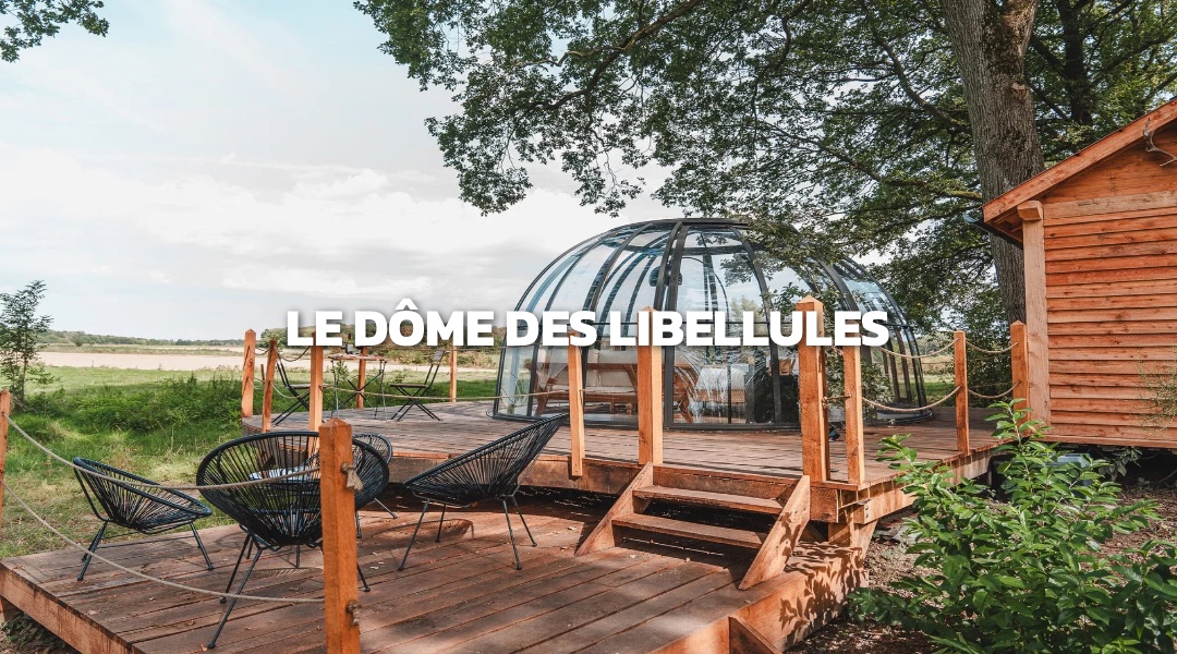 LE DÔME DES LIBELLULES 1