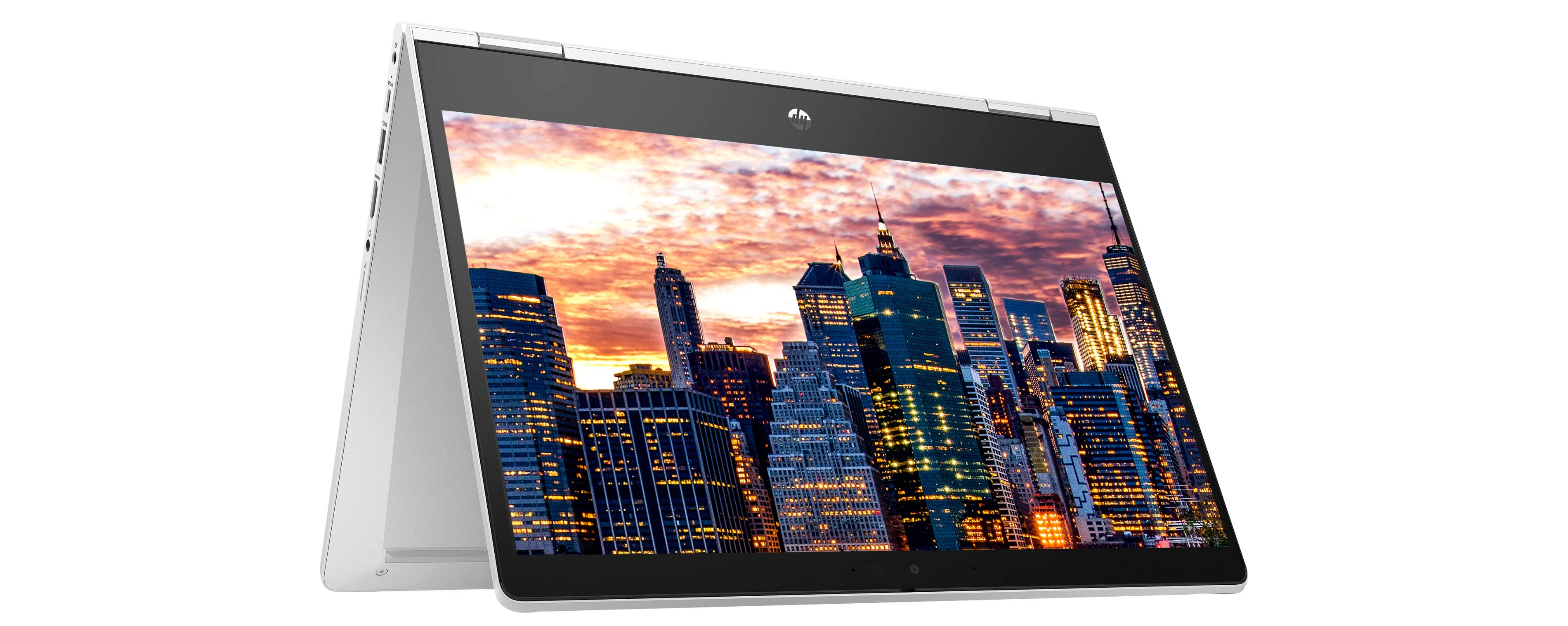 HP ProBook 455 G7 