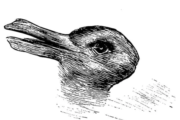 The Duck and Rabbit Illusion