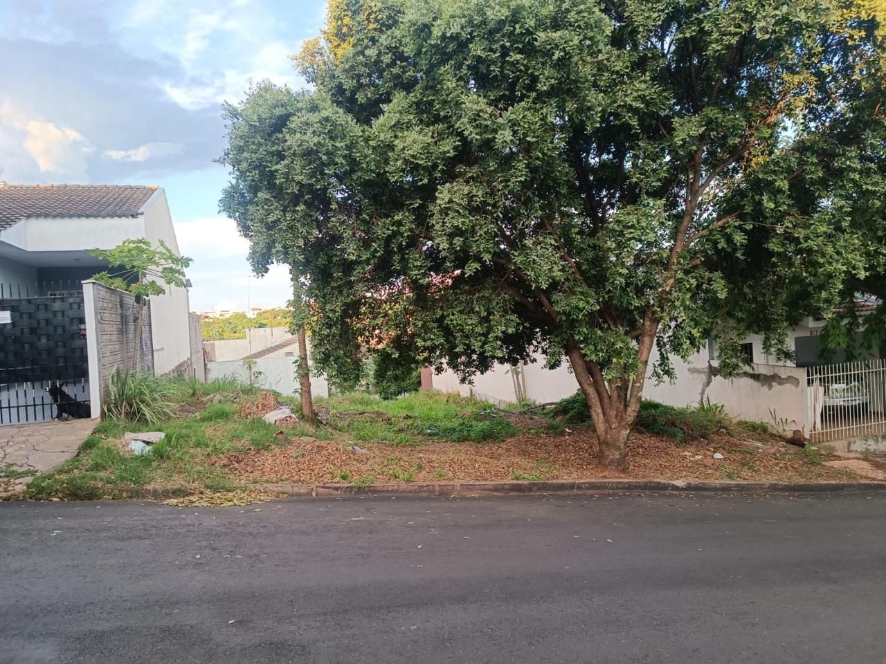Lote/Terreno, Jardim Nova Aliança - Mandaguaçu