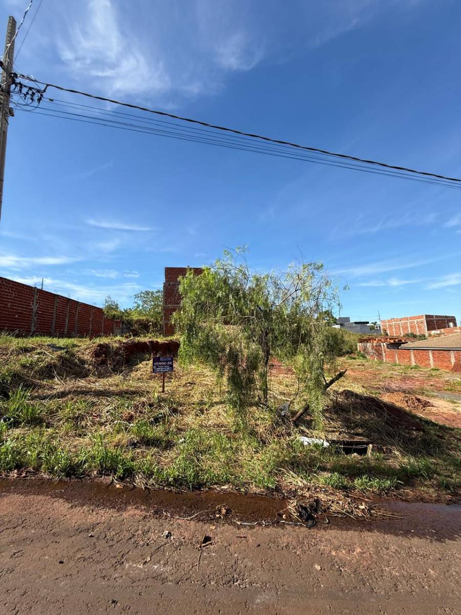 Lote/Terreno, Jardim Monte Cristo - Mandaguaçu