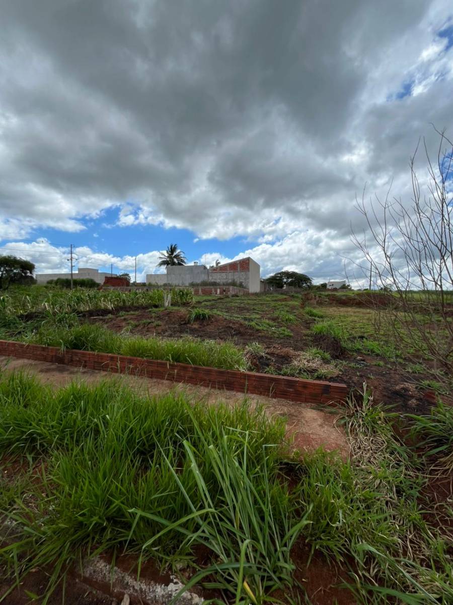 Lote/Terreno, Jardim Catuai - Mandaguaçu