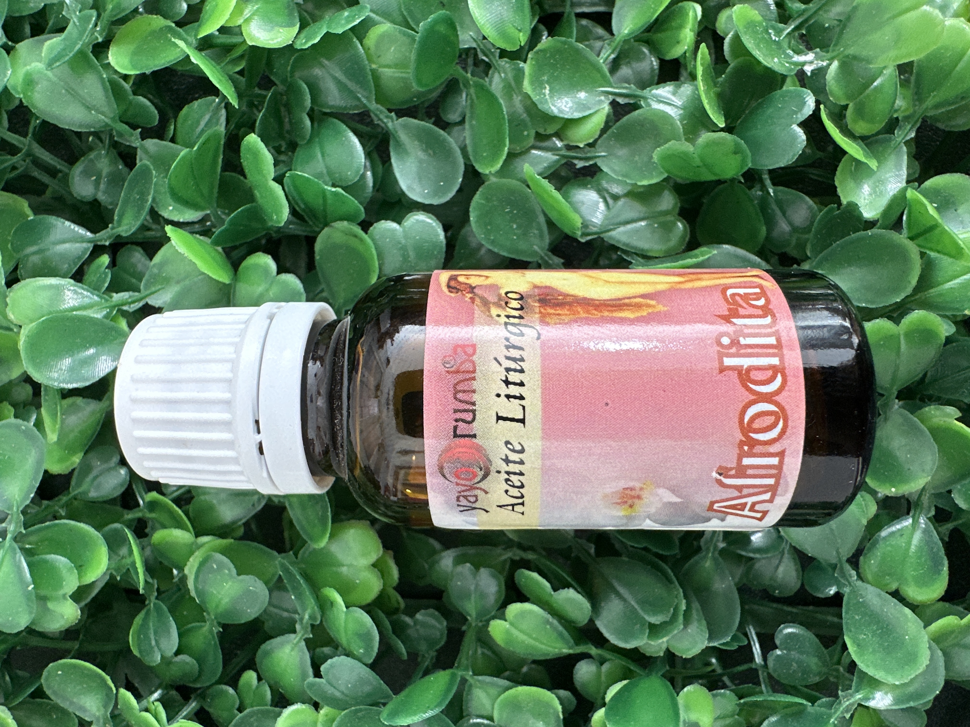 imagen de ACEITE LITURGICO AFRODITA