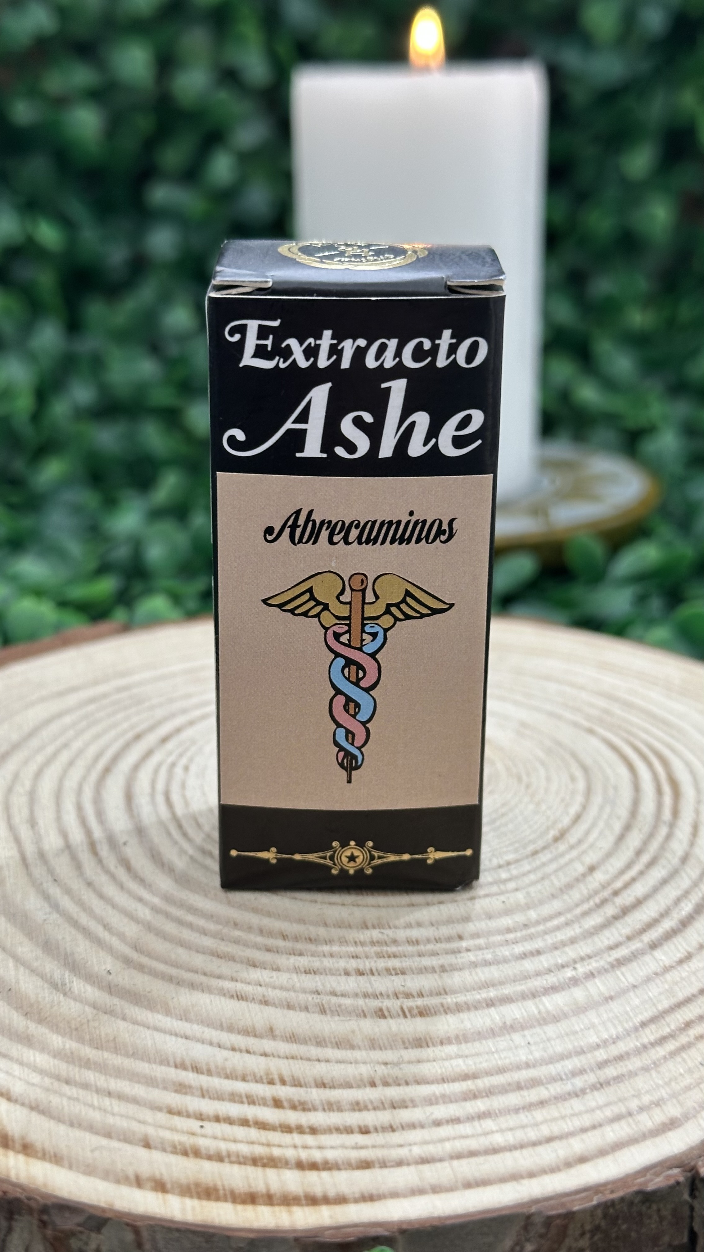 ASHE ABRECAMINOS