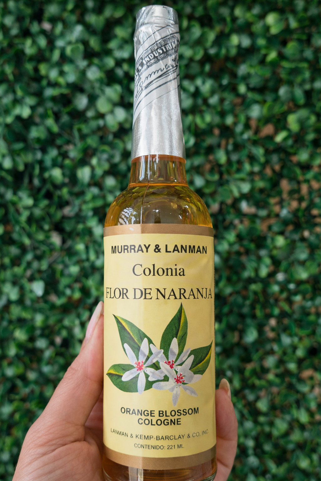 COLONIA FLOR NARANJO