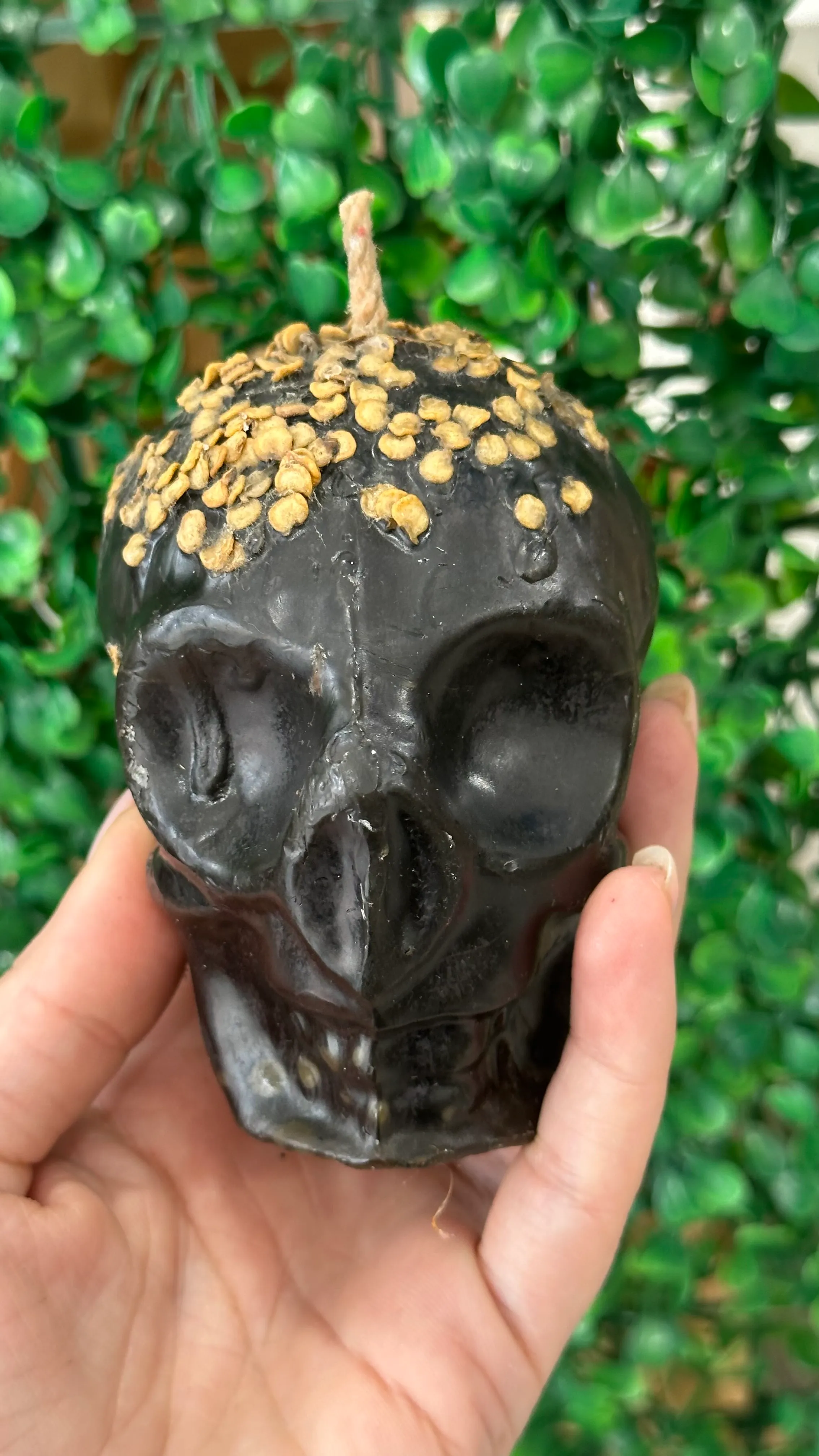 VELA CRÁNEO NEGRO PIMIENTA - imagen 1