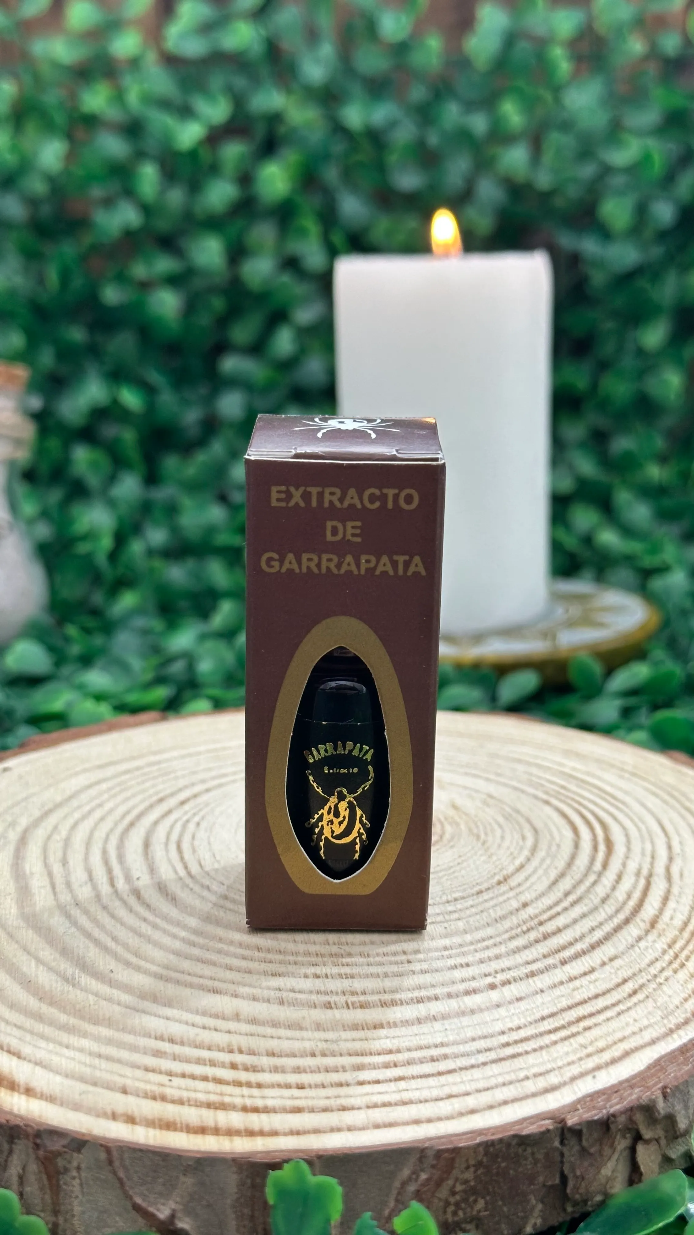 Producto Bella Bruja: Ashe Garrapata