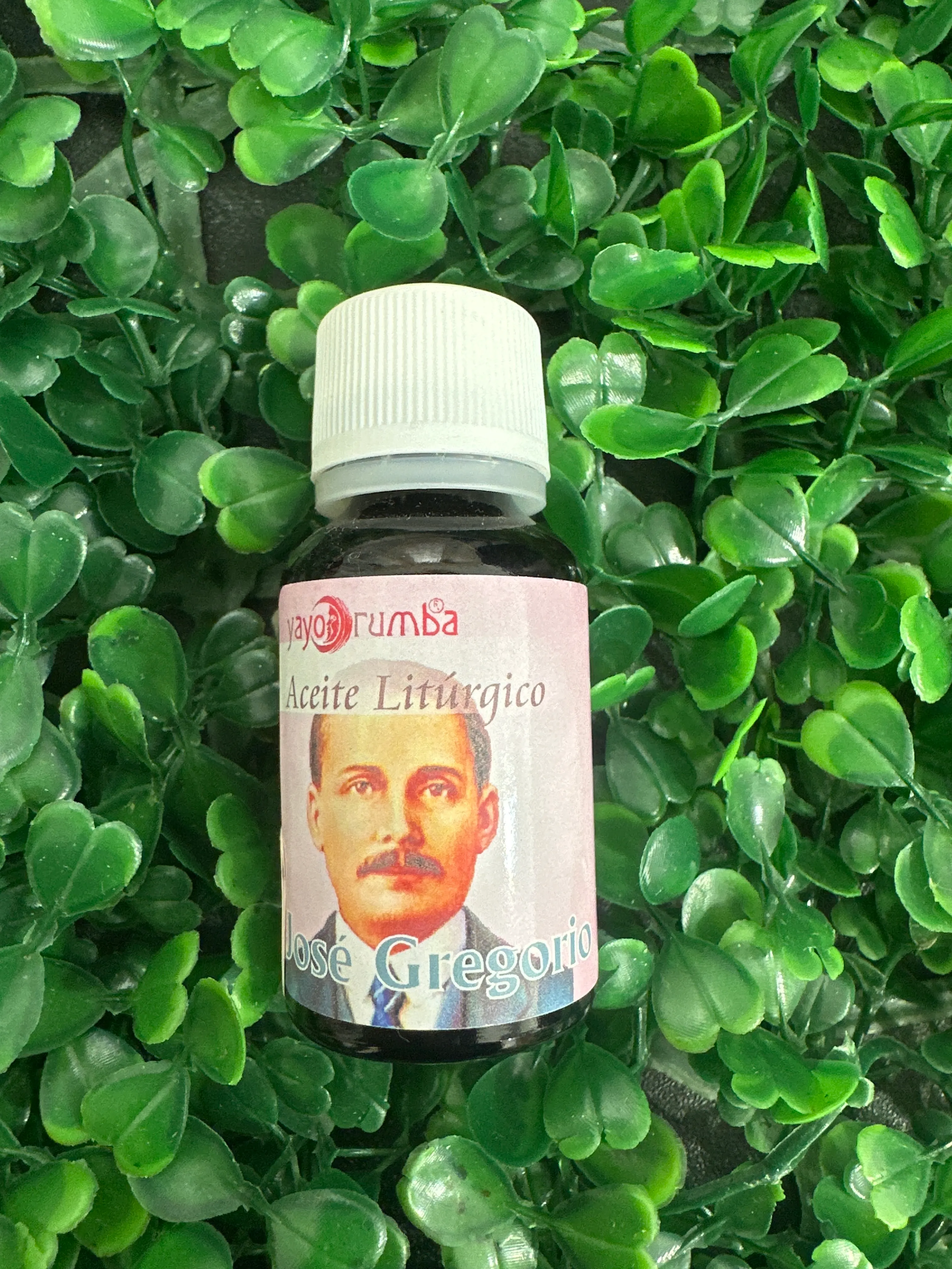 Producto Bella Bruja: ACEITE LITÚRGICO JOSE GREGORIO