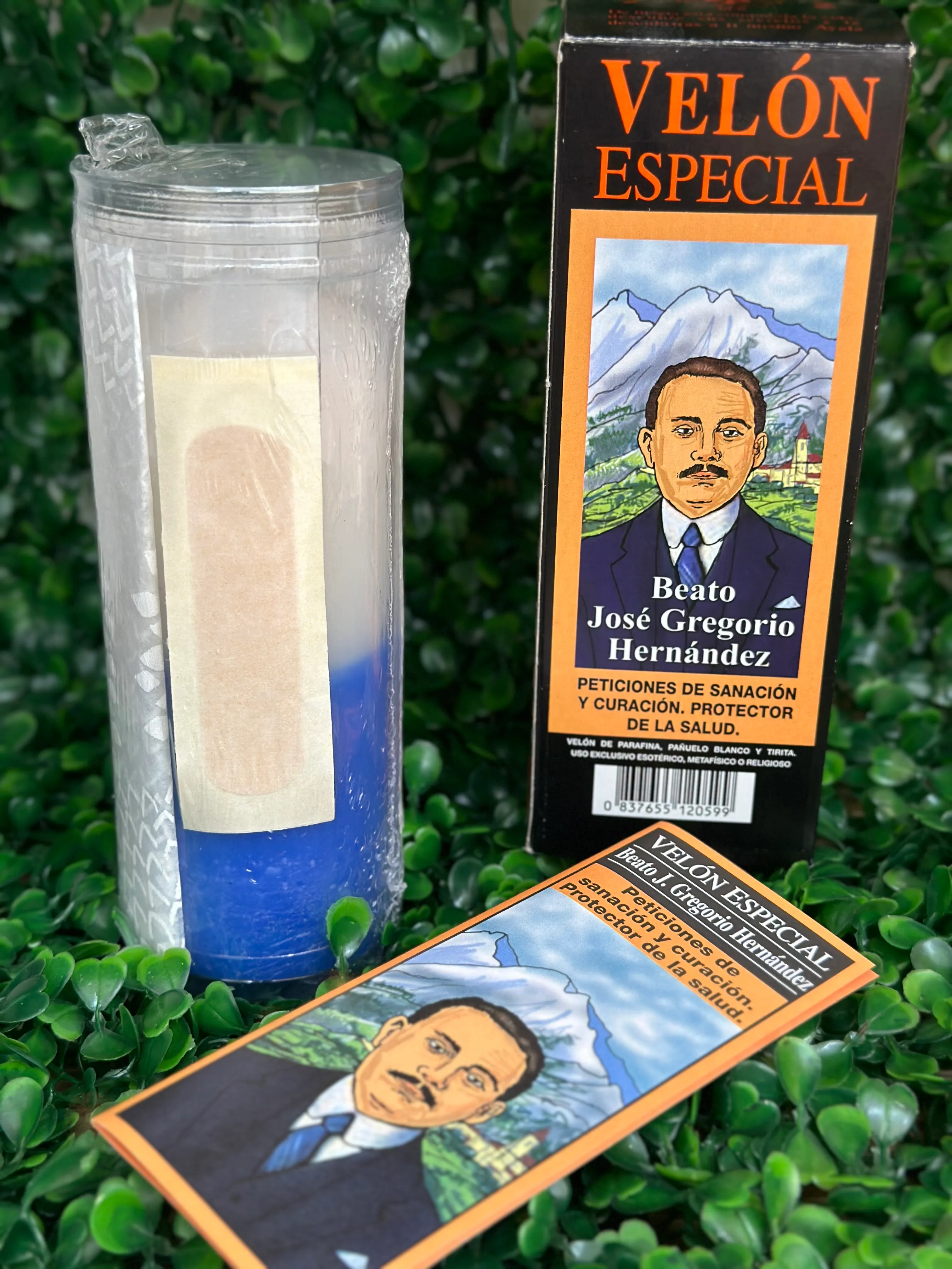 Producto Bella Bruja: Velón Especial Gregorio