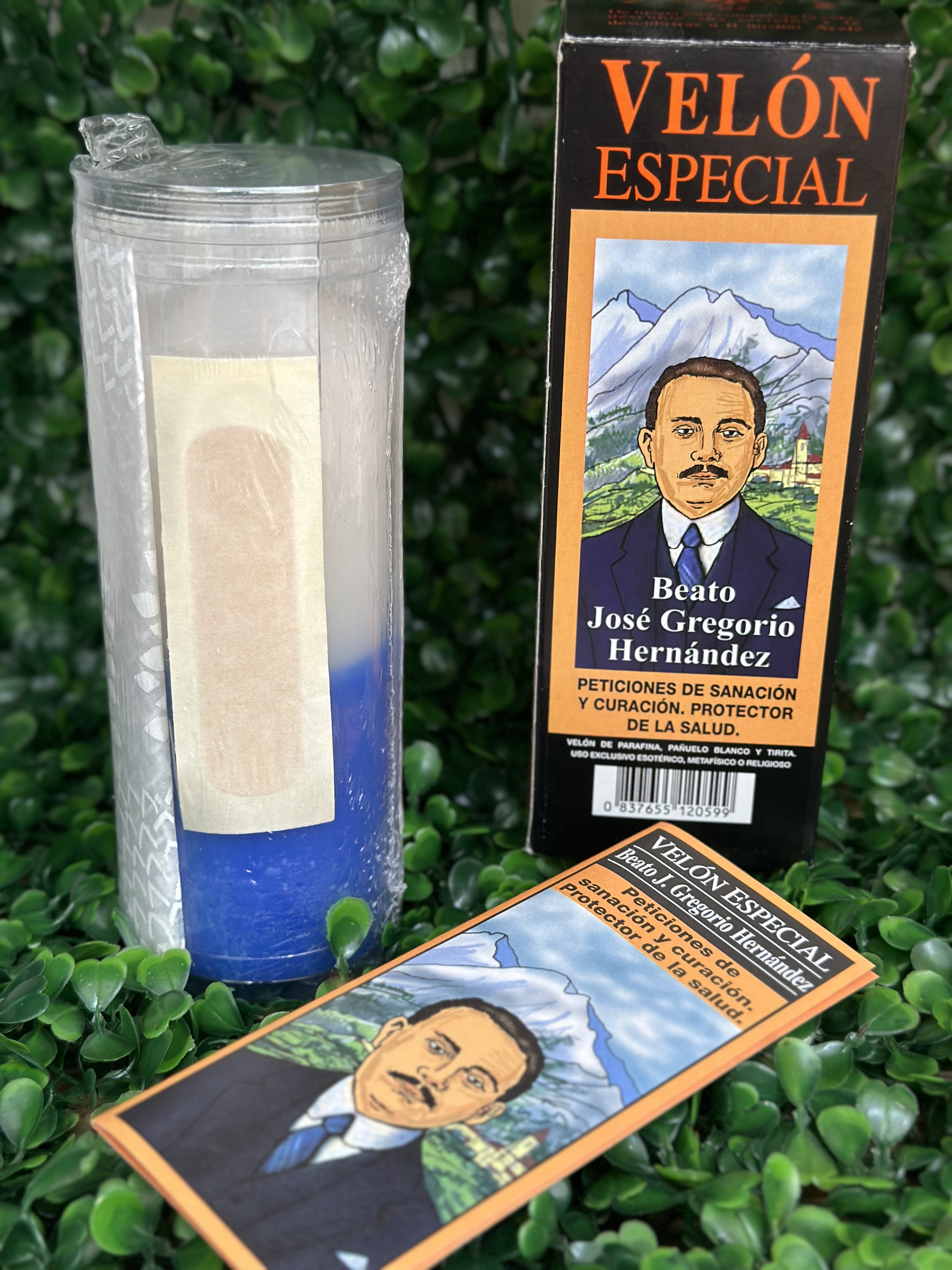 imagen de VELON ESPECIAL GREGORIO 