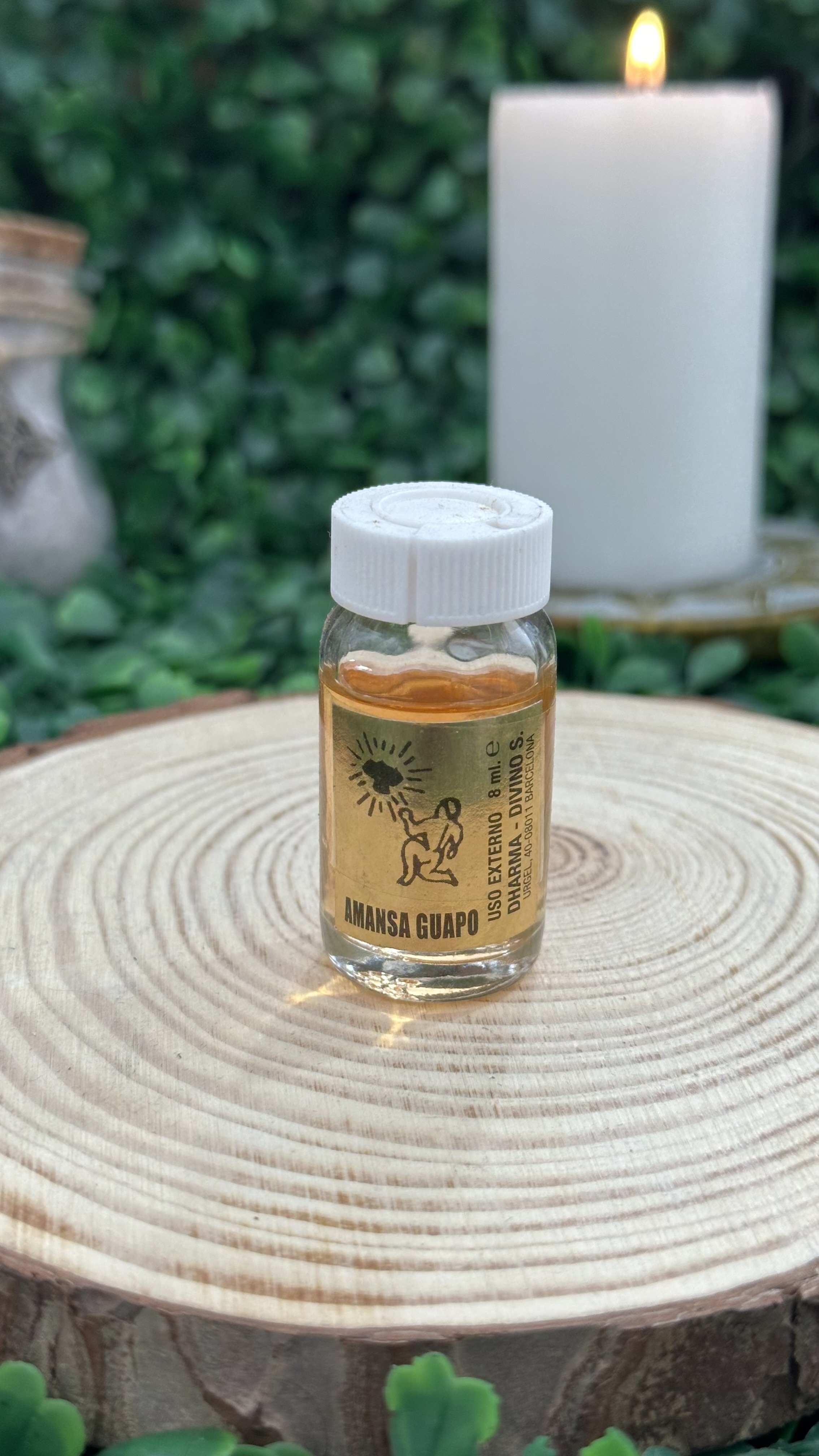 imagen de ASHE AMANSA GUAPO