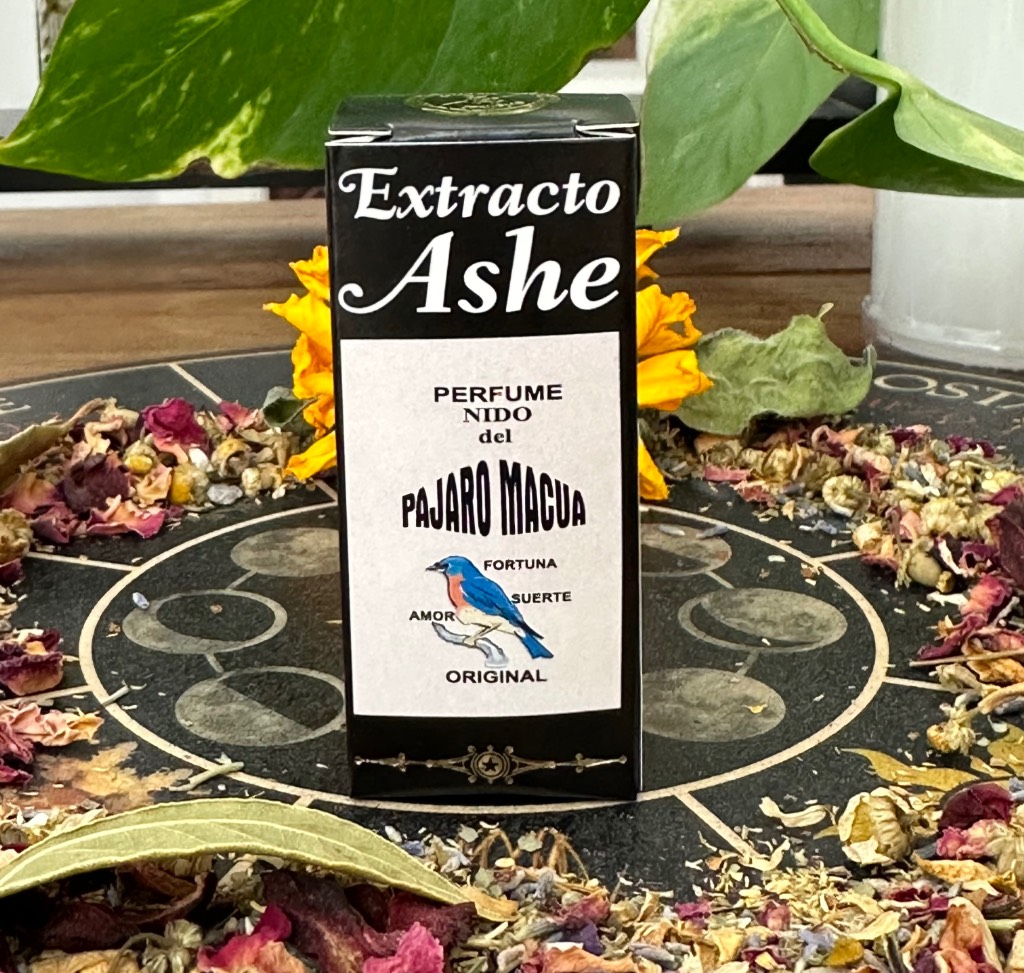imagen de ASHE PAJARO MACUA