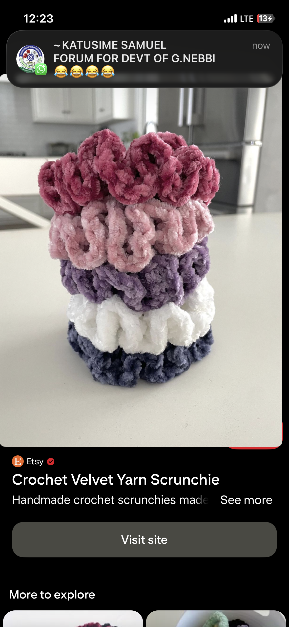 velvet Scrunchies