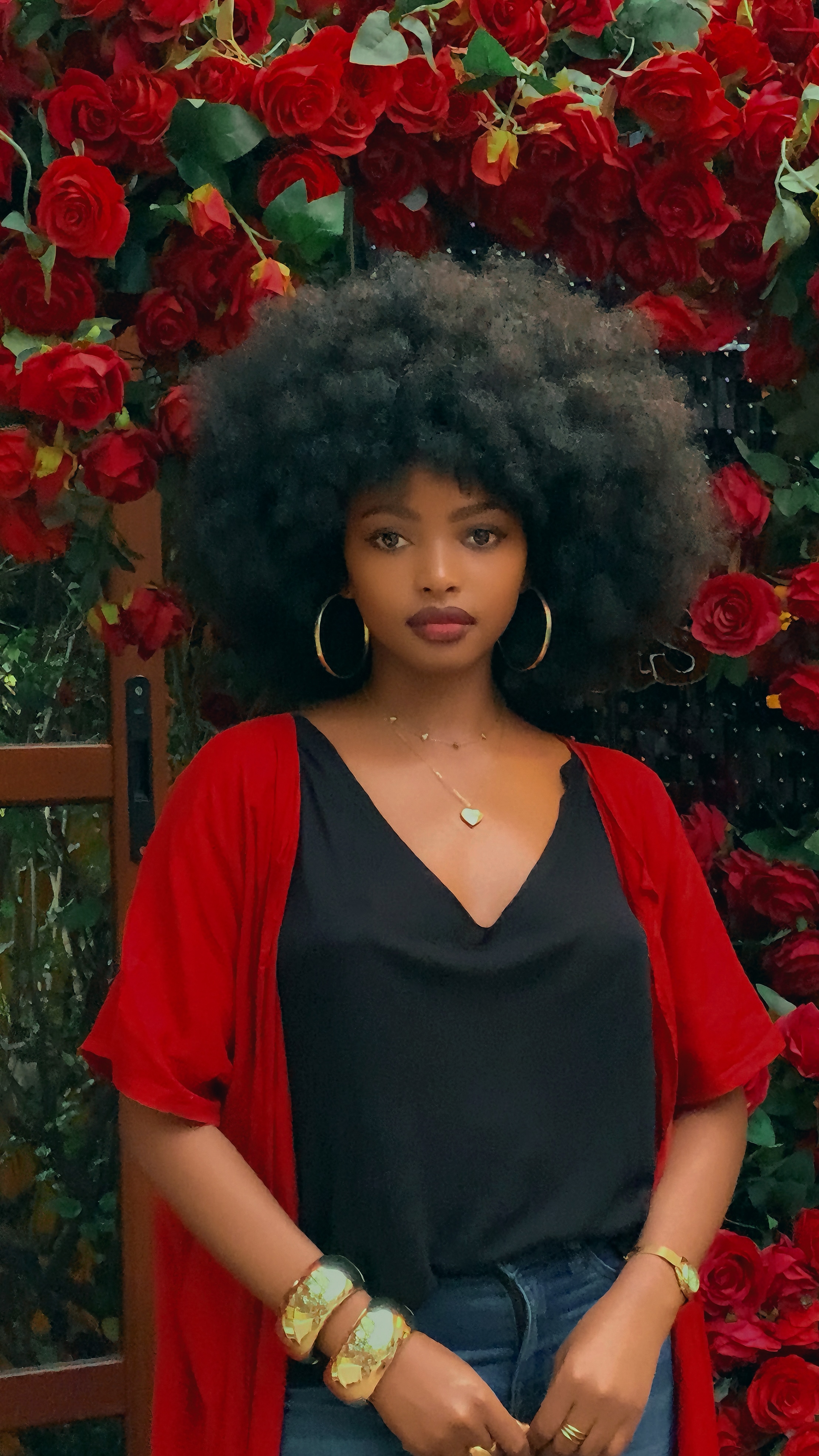 Afro wig