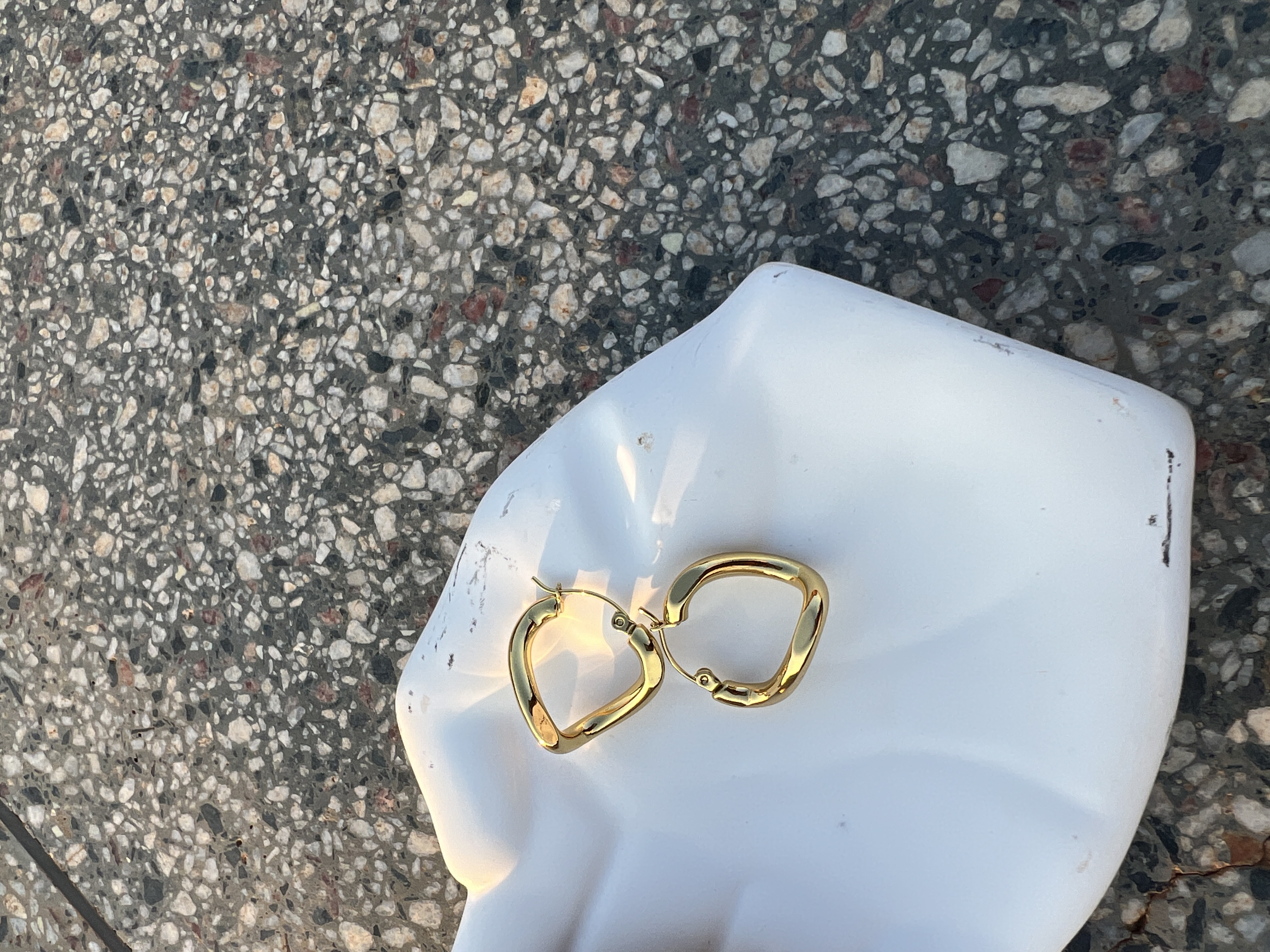 Gold stainless steel earrings 