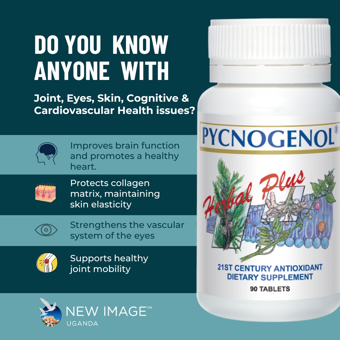 pycnogenol