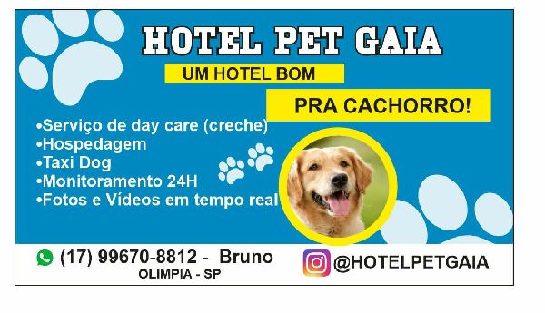 Hotel Pet Gaia - Hotel Pet - Planejando viajar e não pode levar o seu amiguinho? Calma que a gente te ajuda. Hospedagem,daycare serviços de pet sitter, porque o seu animalzinho de estimação merece ser cuidado por quem ama ele tanto quanto você.