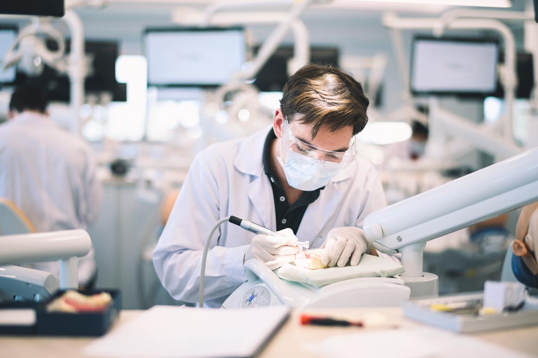 MU Medical University Varna in Bulgaria - Dentistry program laboratory session