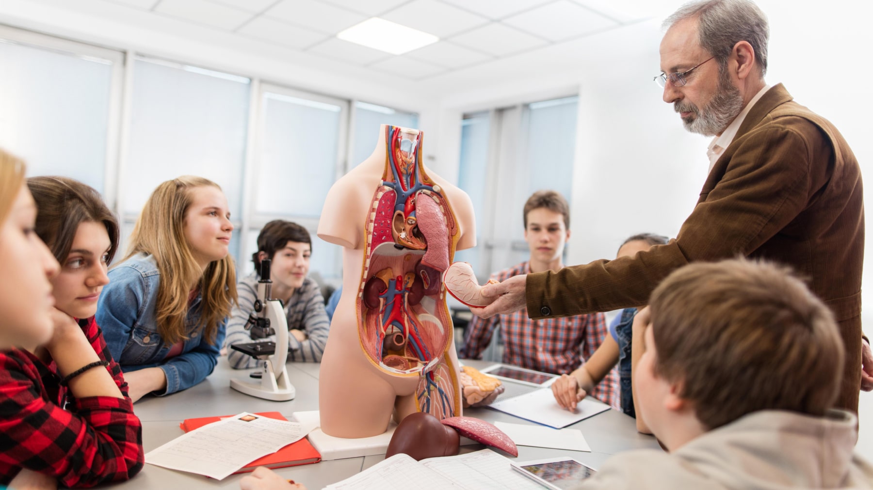 Study Guide - Medicine in Bulgaria π―π©ββοΈπ¨π½ββοΈ