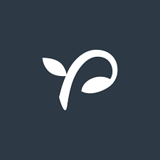 Seed Invest