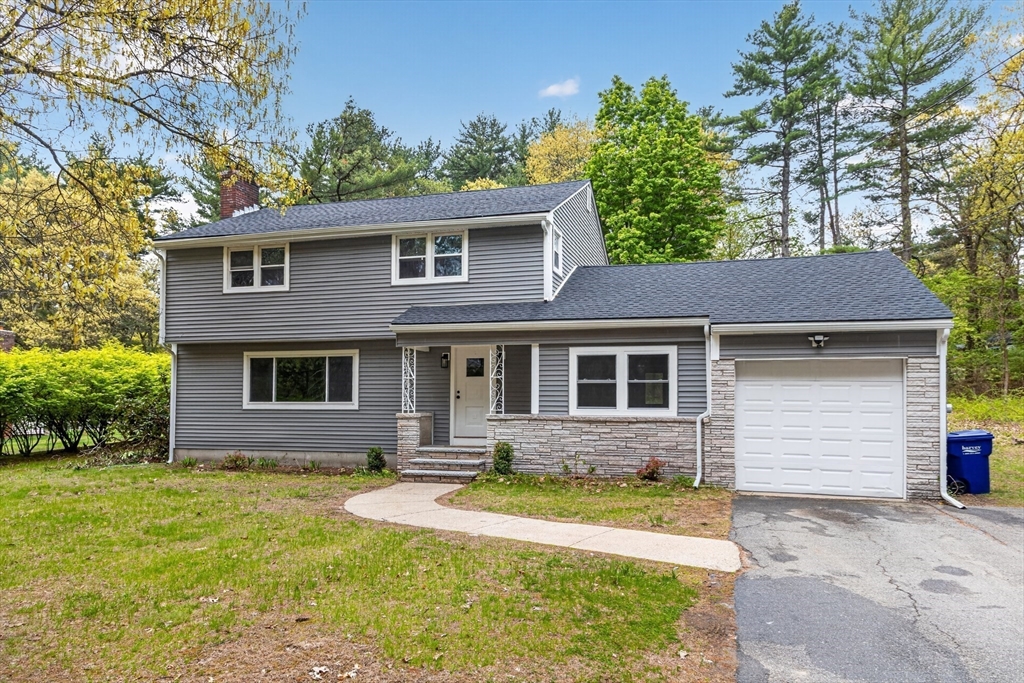 תמונה של הנכס: 61 Jordan St, Chelmsford
