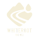 Whiteroot