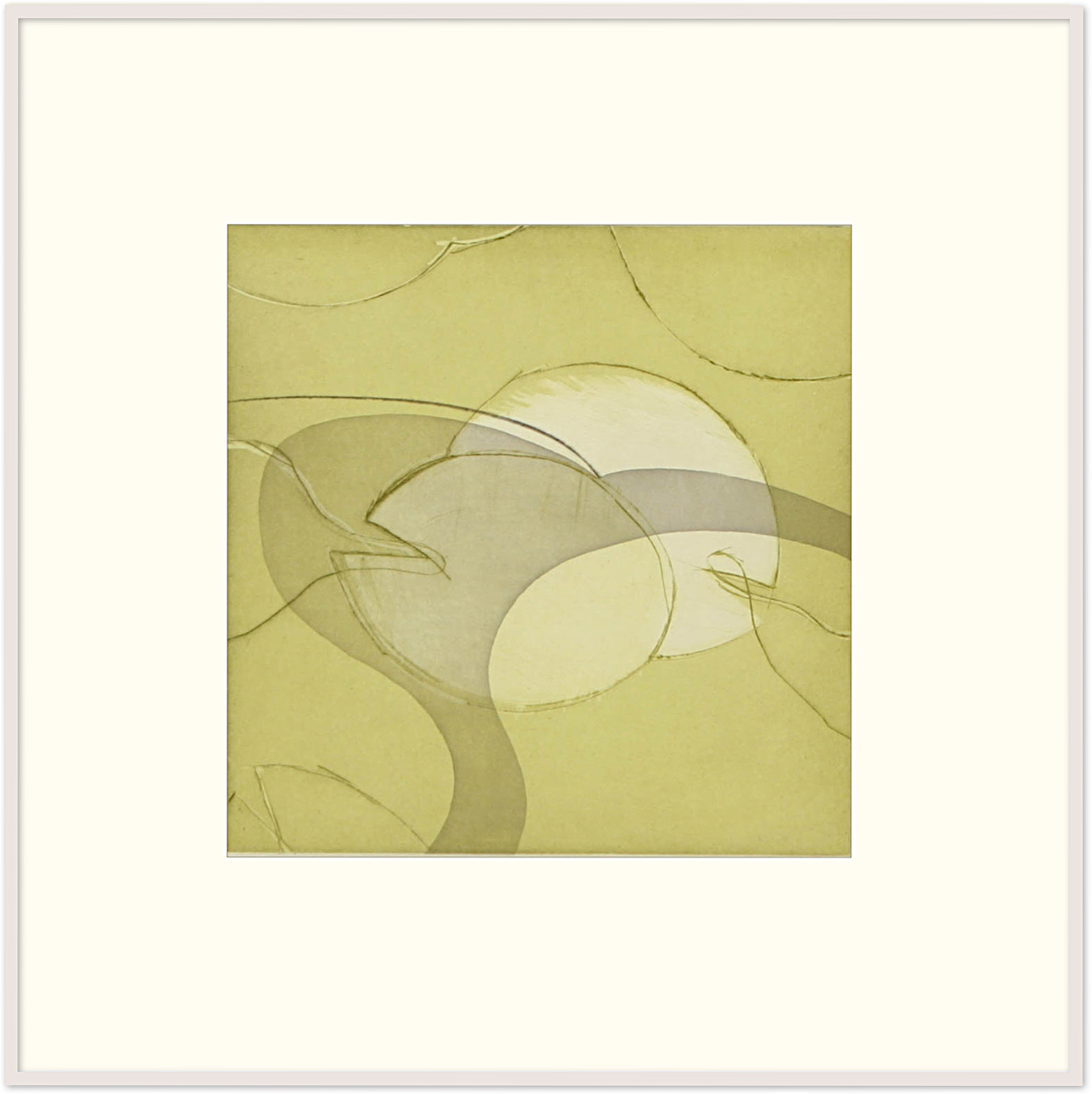 Species (bird), 2005