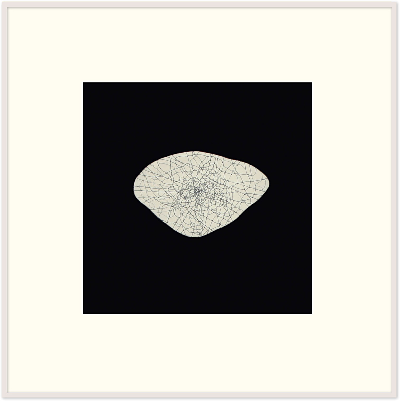 Species (potato), 2005