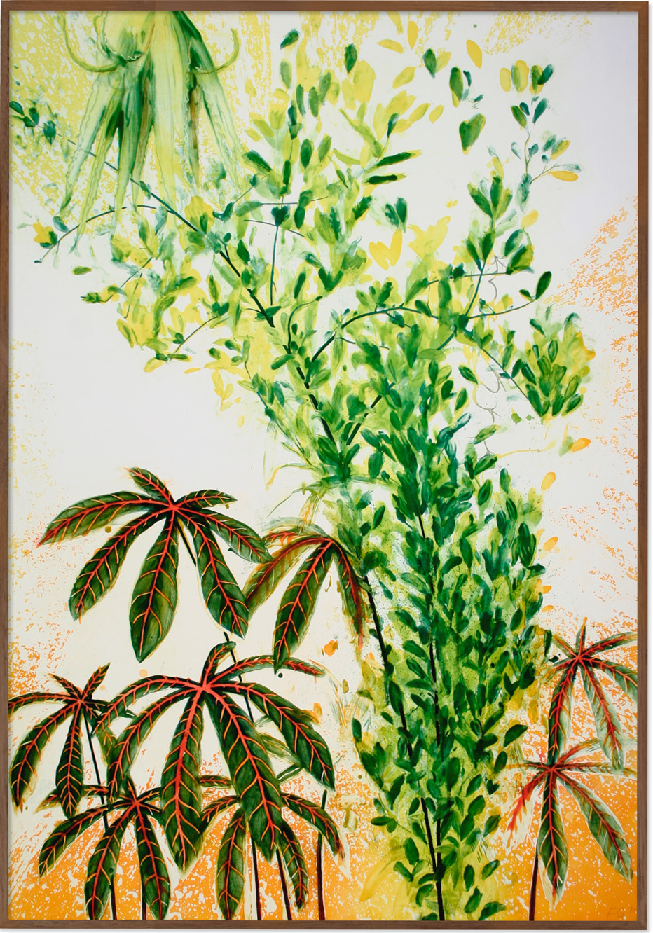 Yuca, Coca & Salvia, 2001