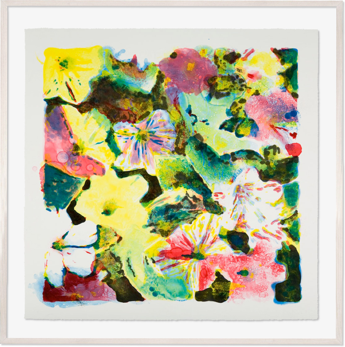 Dondiego de noche, 2007