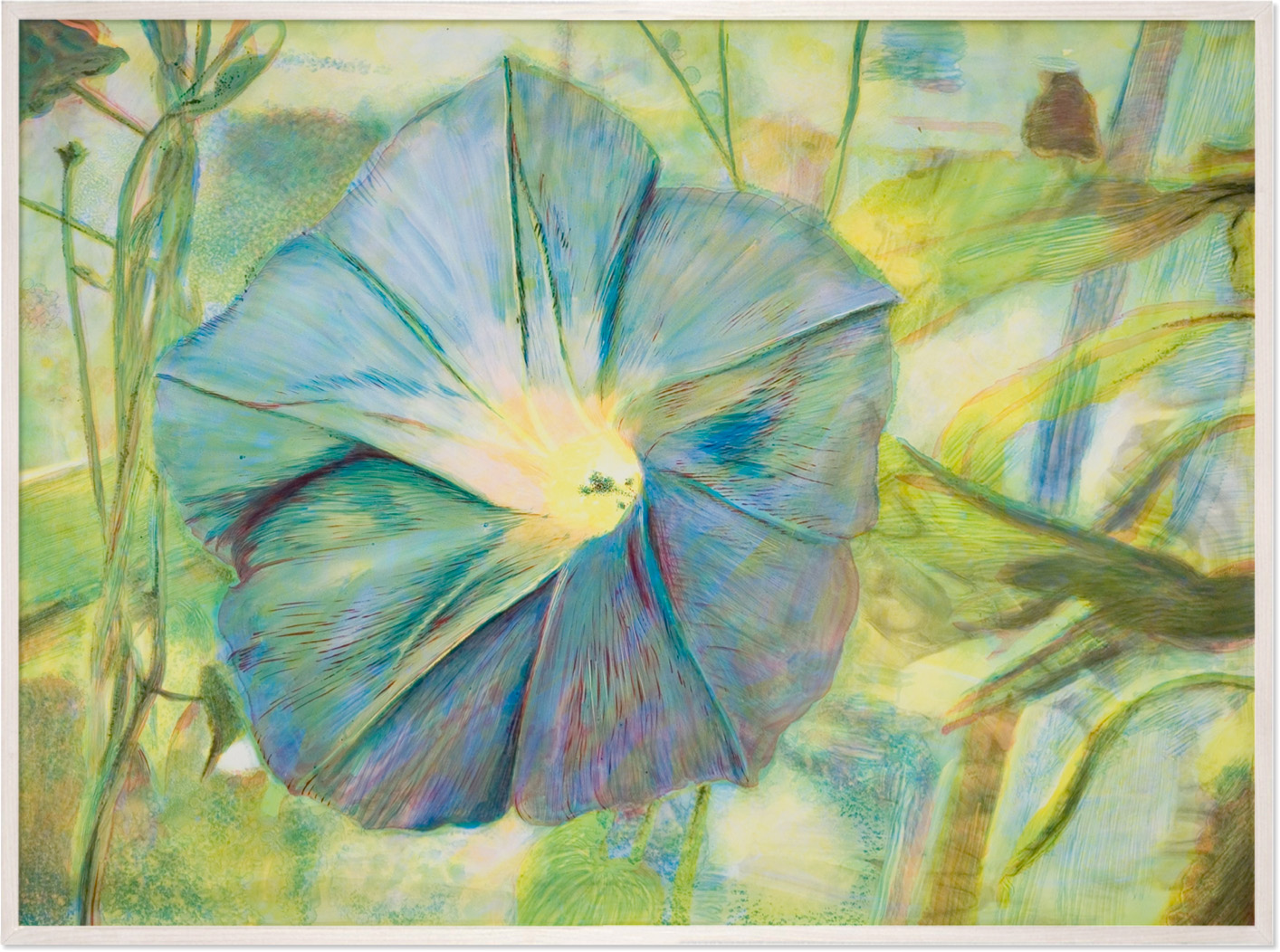 Cara de mañana, 2007