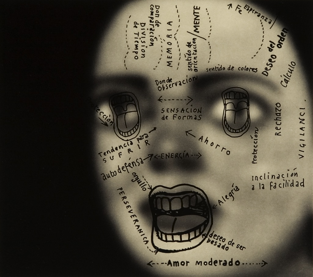 Lead image of Pat Andrea