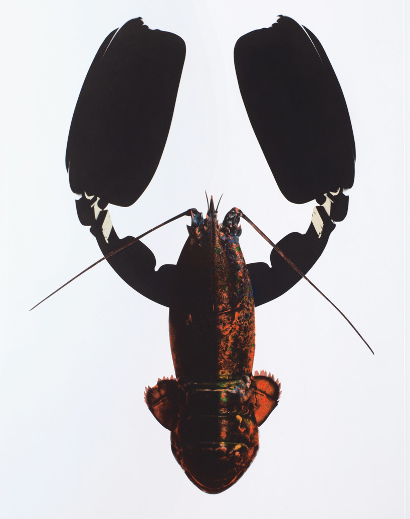 Lead image of Sean Mackaoui