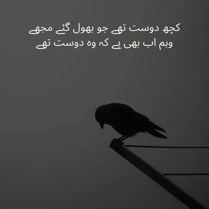 2 lines urdu poetry_800