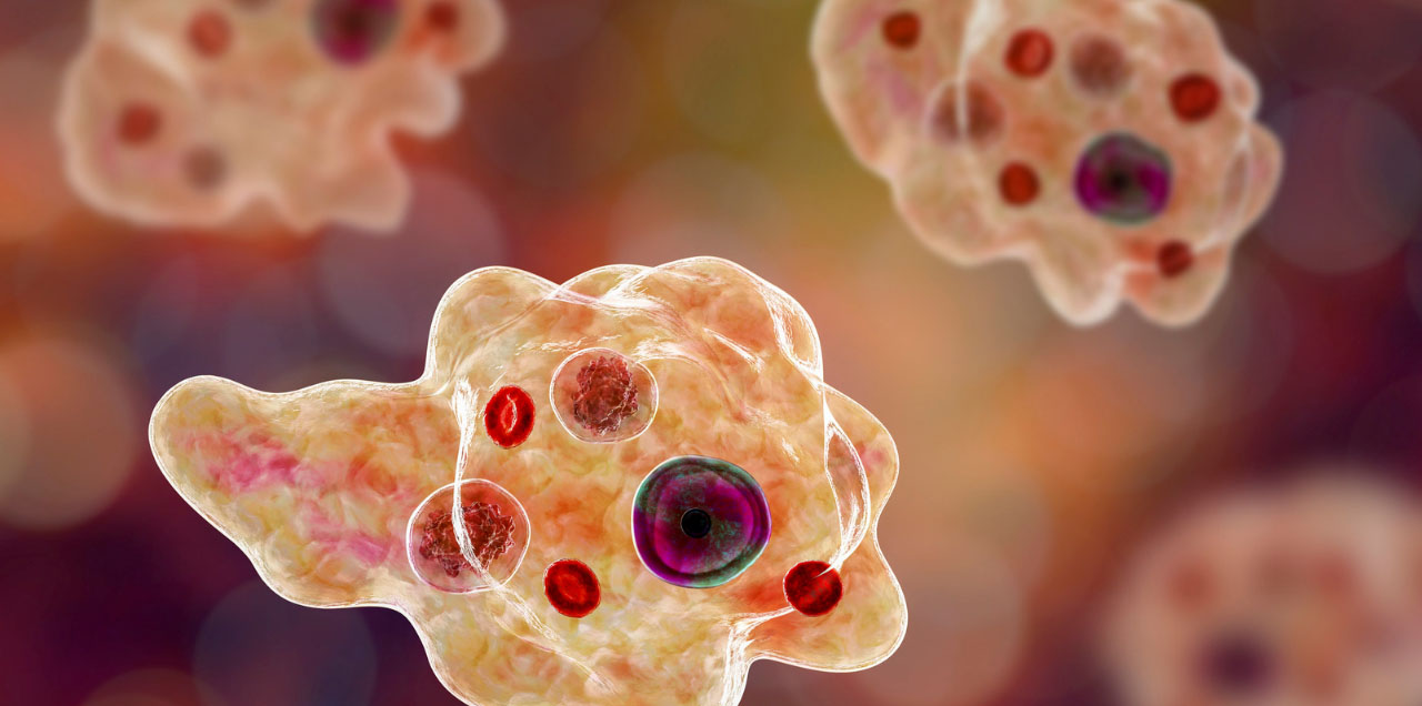 brain-eating-amoeba-kills-four-people-in-karachi