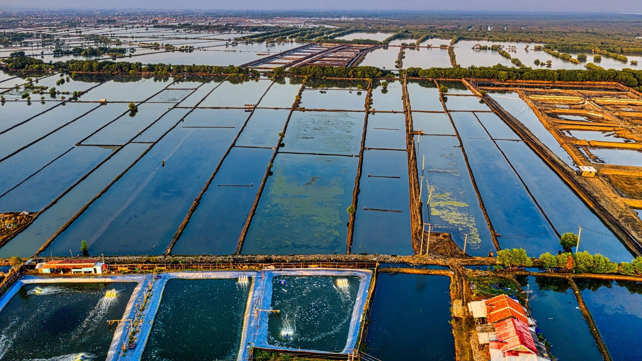 fish-farming-a-profitable-business-information-about-fish-farming-in-pakistan