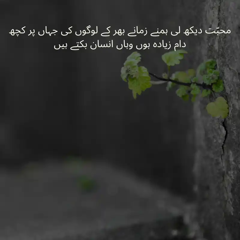 life quotes in urdu_1300