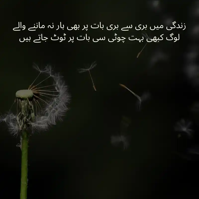 life quotes in urdu_2200