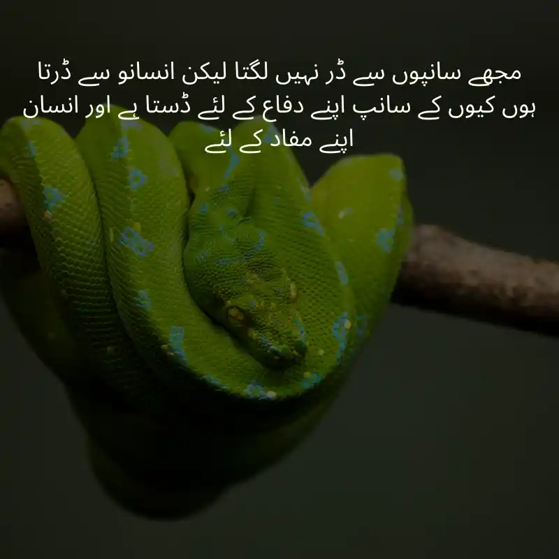 life quotes in urdu_2900