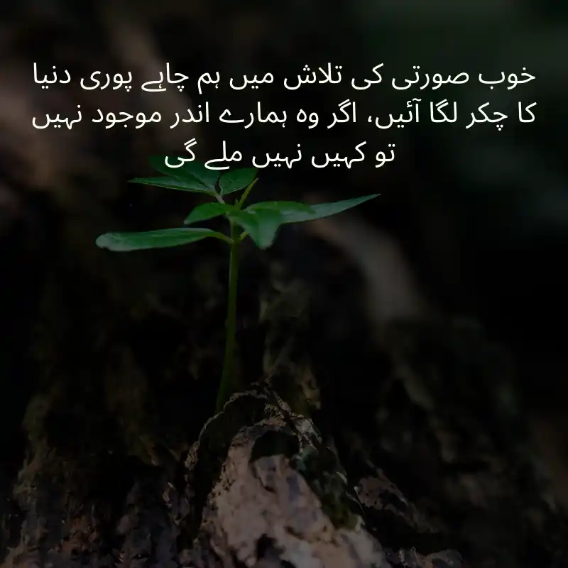 life quotes in urdu_300