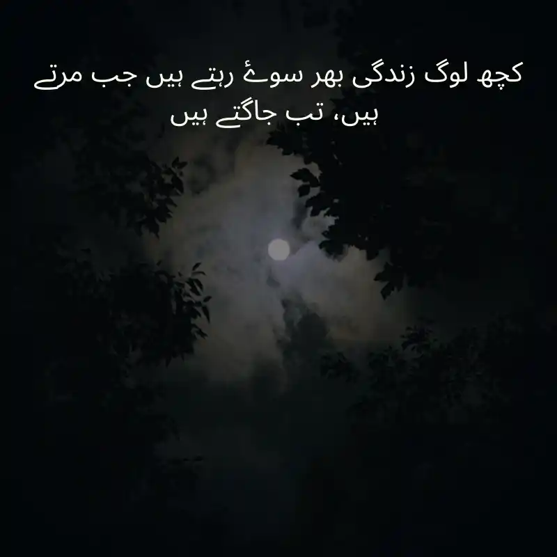 life quotes in urdu_3100