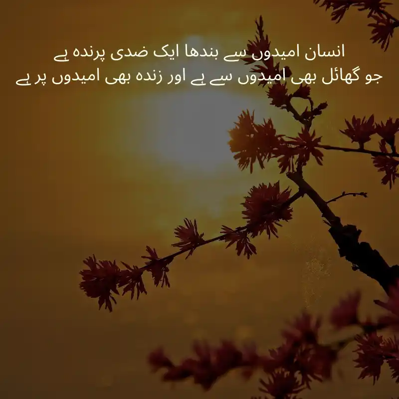 life quotes in urdu_3200