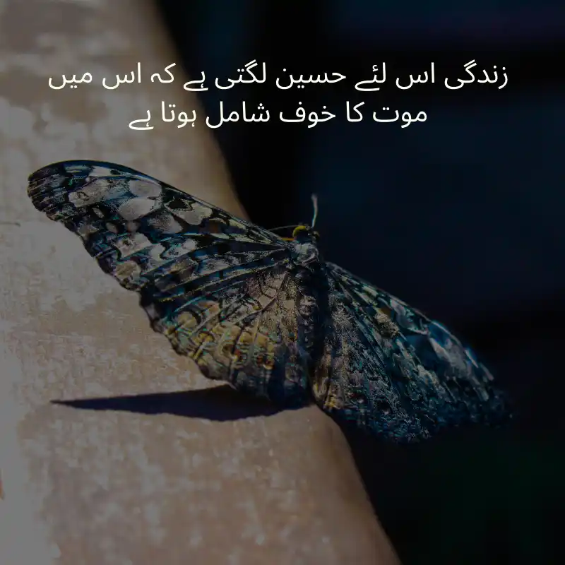 life quotes in urdu_3400