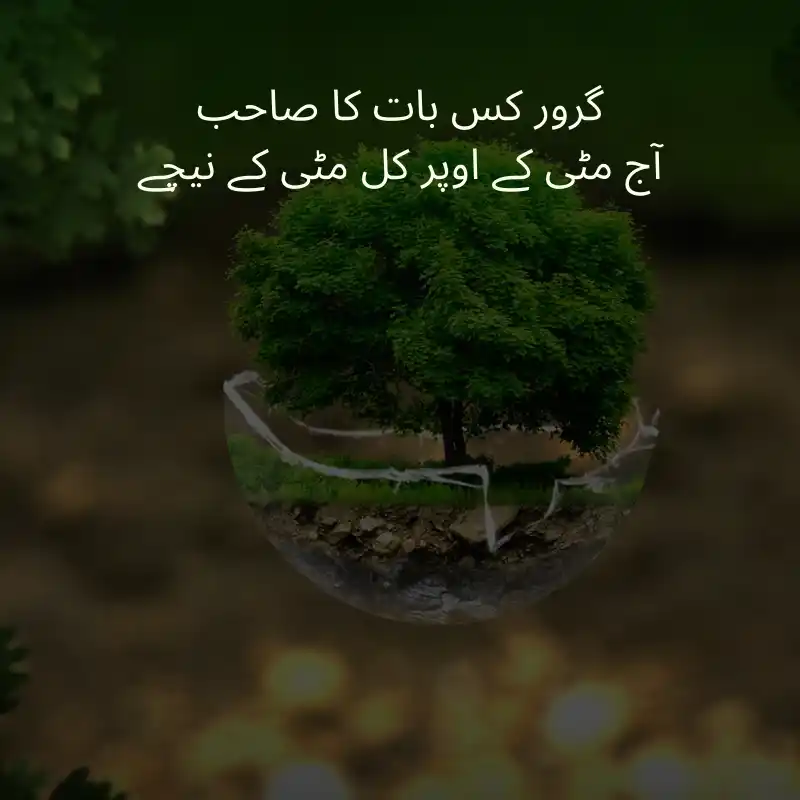 life quotes in urdu_3700