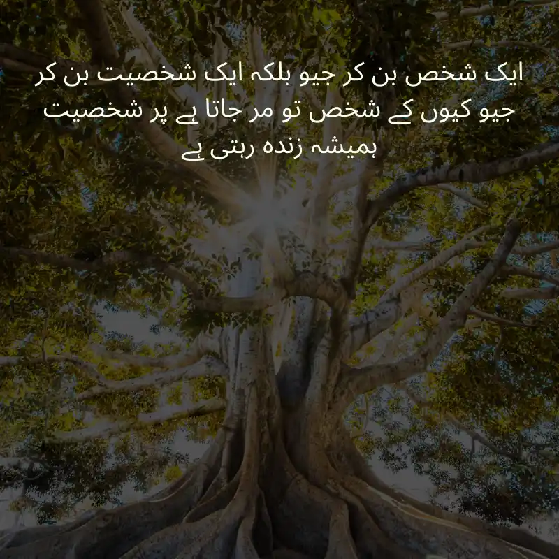 life quotes in urdu_3800