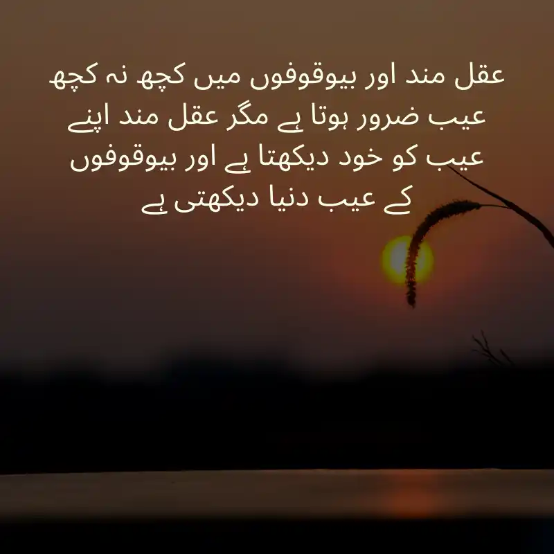 life quotes in urdu_3900