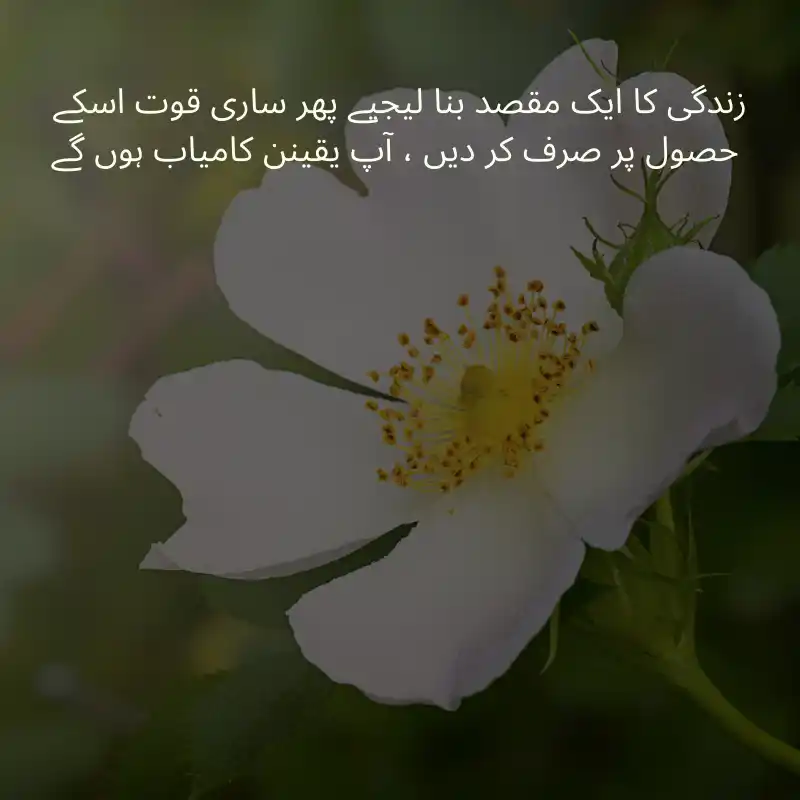 life quotes in urdu_600