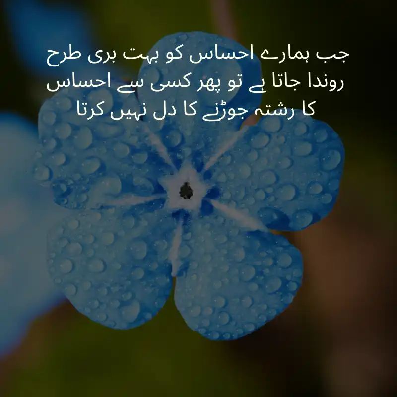 quotes in urdu_1100