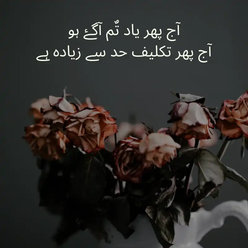 urdu poetry_200